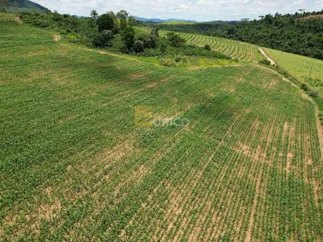 FAZENDA DE CAFÉ A VENDA EM BOTELHOS - MG