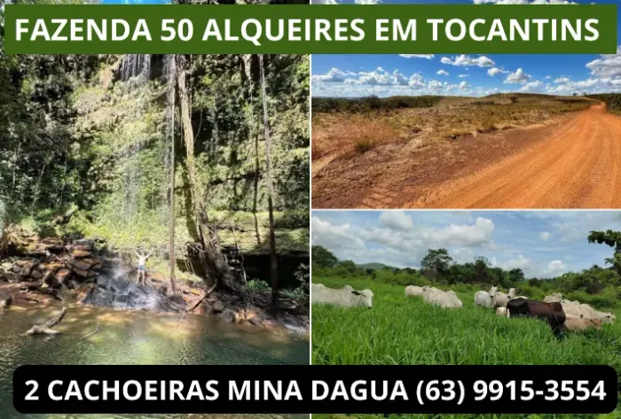 Fazenda, Terra, Lavoura Tocantins, Porto Nacional, Agua, Rio, Corgo, Lago, Represa, Casa, 
