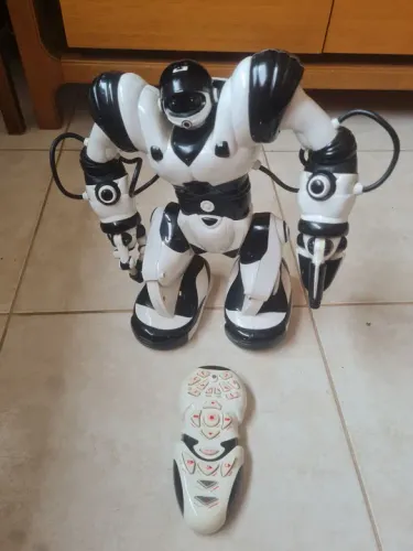 Robo sapiência ligando com problema e com controle
