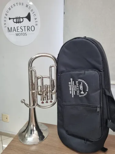 Saxhorn Weril Mib - 10X no cartão - Envio p/ todo Brasil