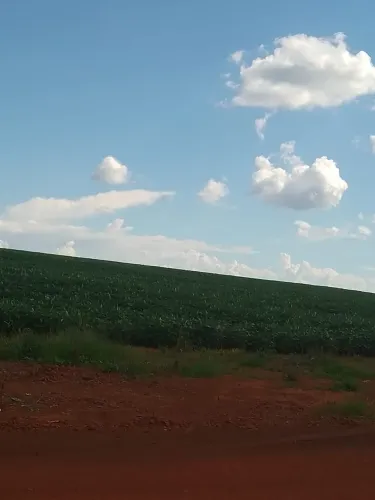 Fazenda 63 alqueires em São João da aliança Goiás