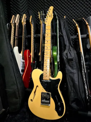 Guitarra Tagima Telecaster Thinline T-920 Butterscotch /ñ Gibson epiphone prs fender esp 