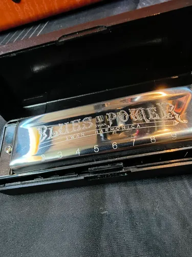 Gaita harmonica blues Power c do 10 vozes inciantes crianças e adultos linda cromada