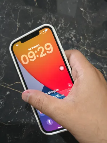 iPhone 12 Pro Max 256GB Cinza - 10X sem juros!