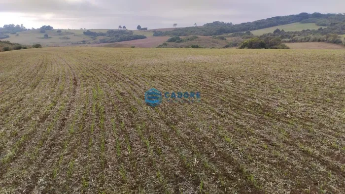 Área de campo a venda em Esmeralda com 21,7 hectar
