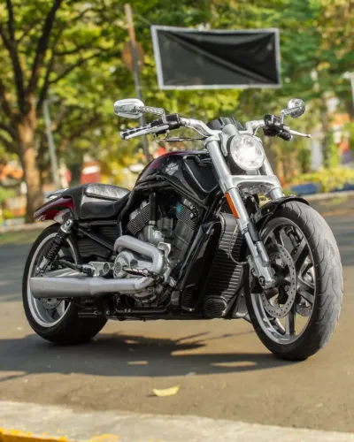 Harley-Davidson V-Rod 1250Cc Muscle Vrscf