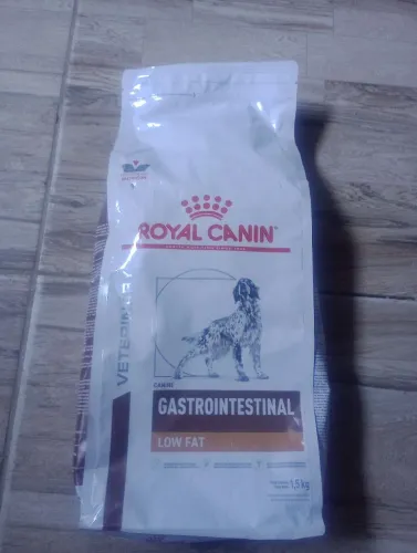 Ração pra cão em tratamento 