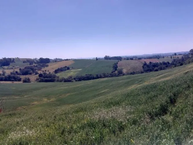 Imóvel Rural com Área de 72.600 m² (Sítio Alvorada - Gleba Alvorada) - Nova Tebas - PR