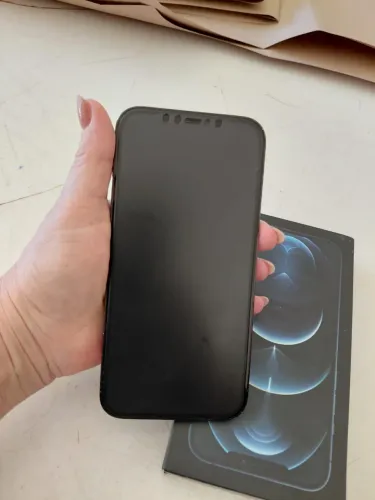 iPhone 12 Pro Max 