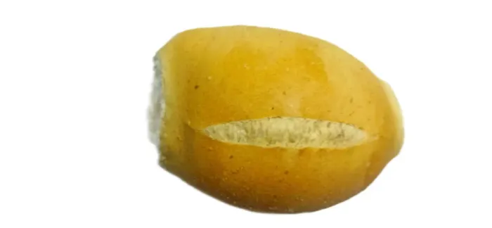 PÃES