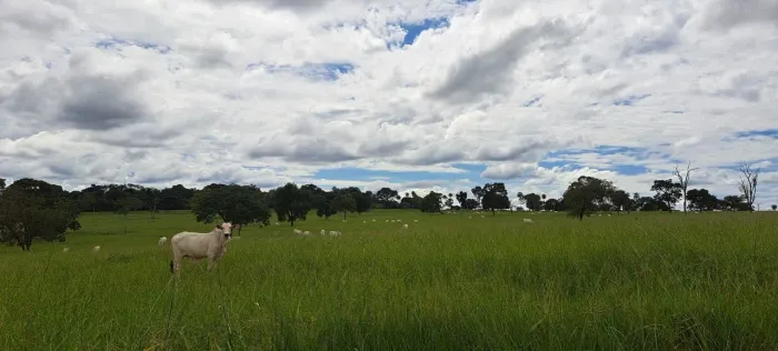 Fazenda com 6 dormitórios à venda, 2180000 m² por R$ 10.000.000 - Zona Rural - Campina Ver
