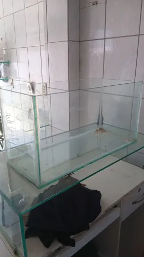 Aquário