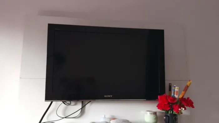 Televisão