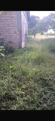 Chácara na vila Santa Rita 320 mil