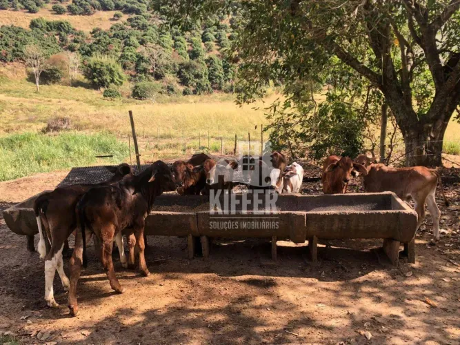 Fazenda com 2 quartos à venda, 480000 m² por R$ 2.500.000 - Santo Antonio - Carmo/RJ