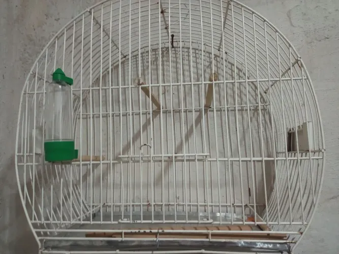 Gaiola para passaro