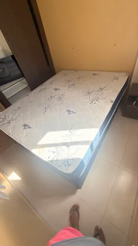 Cama