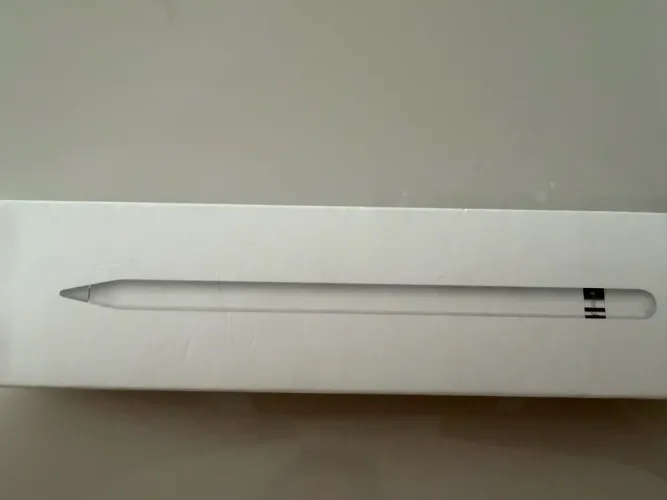 Apple Pencil 1ª Geração (A1603) com Adaptador e Caixa Original