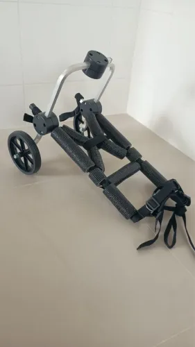 Cadeira de rodas nova para pet