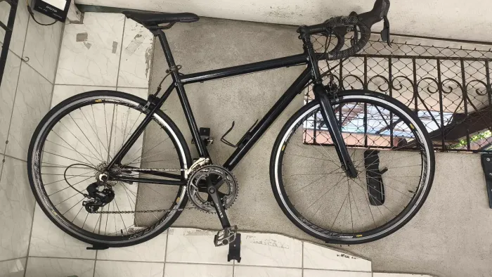 Bicicleta speed