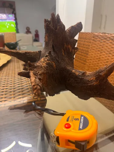 Tronco para Aquário 