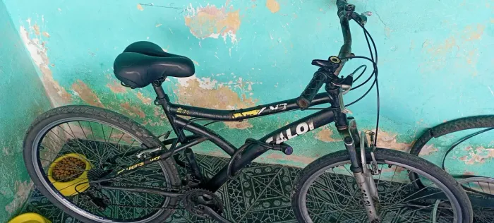Bicicleta Caloi Pegar e usar