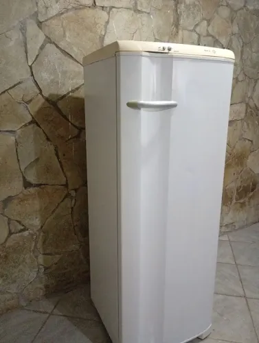 Geladeira Electrolux Degelo Entrega Grátis
