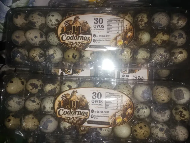 Ovos de codornas