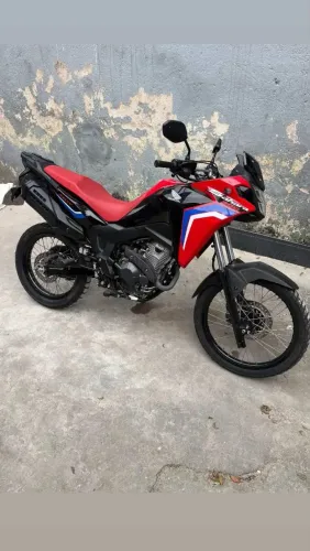 Sahara 2024