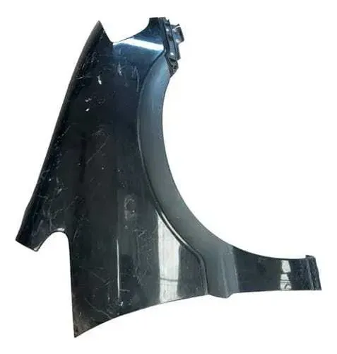 Paralama Dianteiro Esquerdo Renault Clio 2001 A 2012