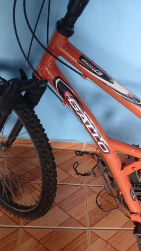 Bicicleta gallo