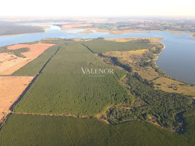 Fazenda com reflorestamento às margens da Represa Jurumirim, SP