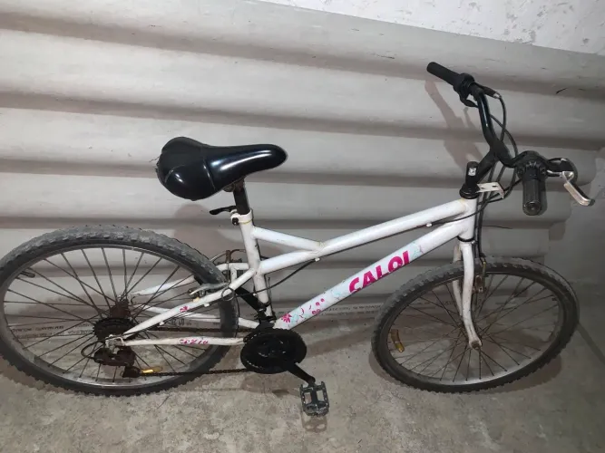 Bicicleta