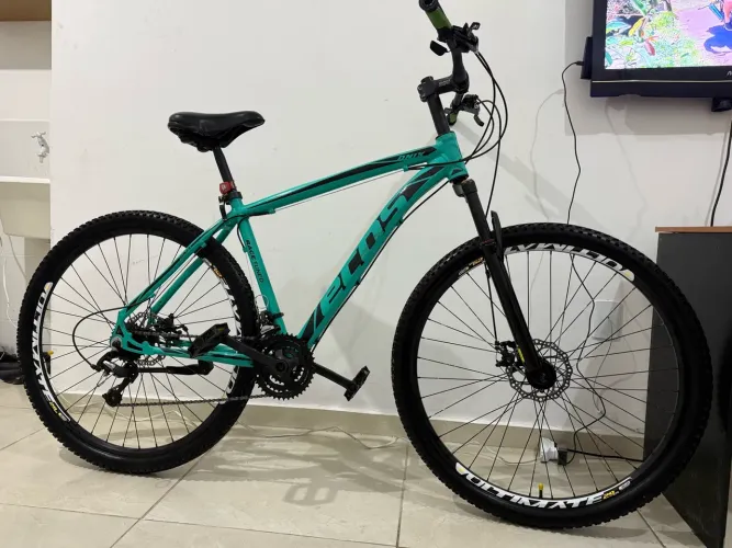 Bicicleta ecos aro 29