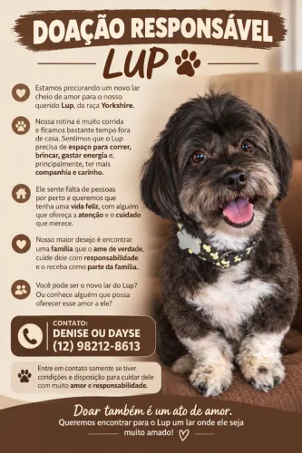 Doação responsável