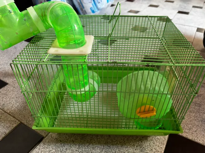 Casinha para Hamister