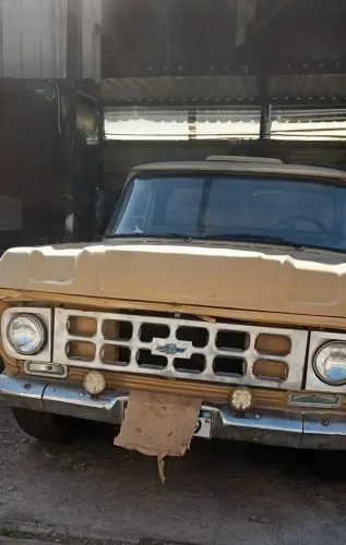 Chevrolet D-10 Diesel 1981