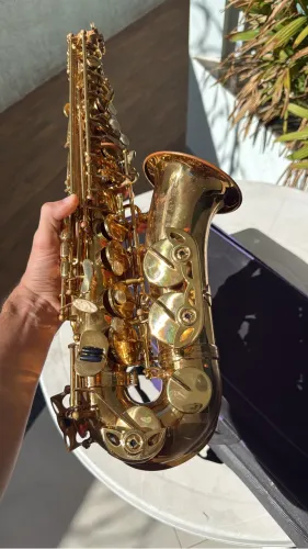 SAX ALTO HOFMAN