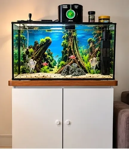 Aquário Completo com Móvel Planejado, Filtro, Compressor e Acessórios