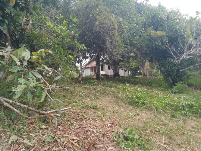 ? SÍTIO À VENDA EM RIO PRETO DA EVA - AM ?