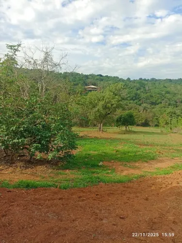 Chácara 4000M2 esmeraldas vargem bento da costa