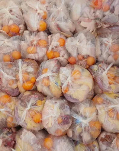 Galinha Caipira ovada 