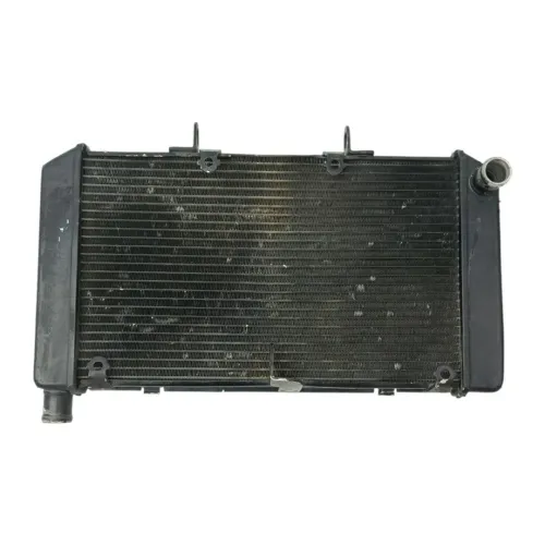 Radiador Agua Honda Cb600 Hornet 2008 A 2014 Original C/det