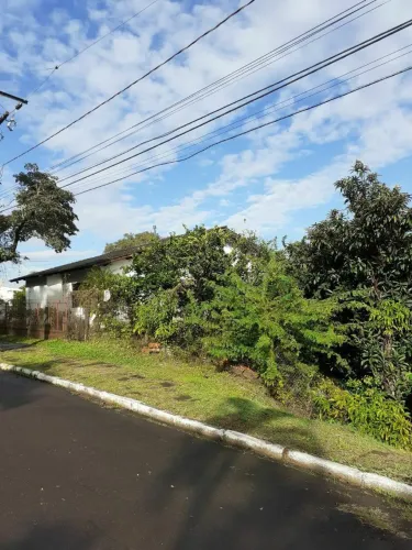 Terreno no Morro dos Papagaio ,Rua Silveira Martins.