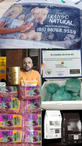 Alimentação Natural pitmonster 