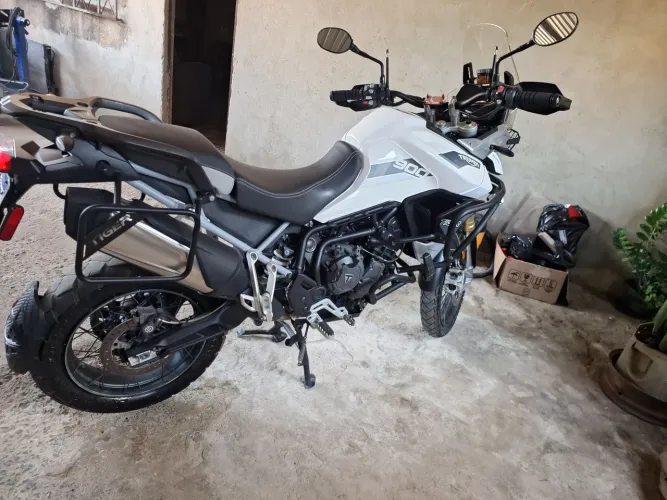 Tiger 900 rally pro