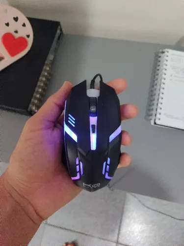 MOUSE