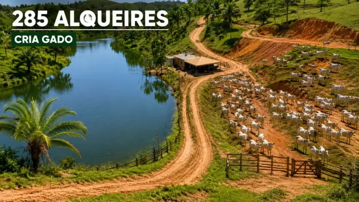 Imóvel para venda possui 20000 metros quadrados