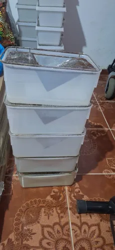 Caixas biotério para Camundongos e hamster