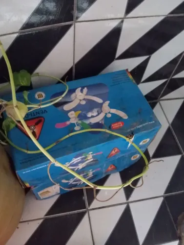 Vendo 2 ventilador de teto novo pô apenas 300 reais.procura Moisés *